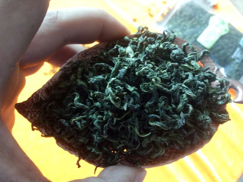 刺五加茶末茶