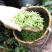 老树茶特级