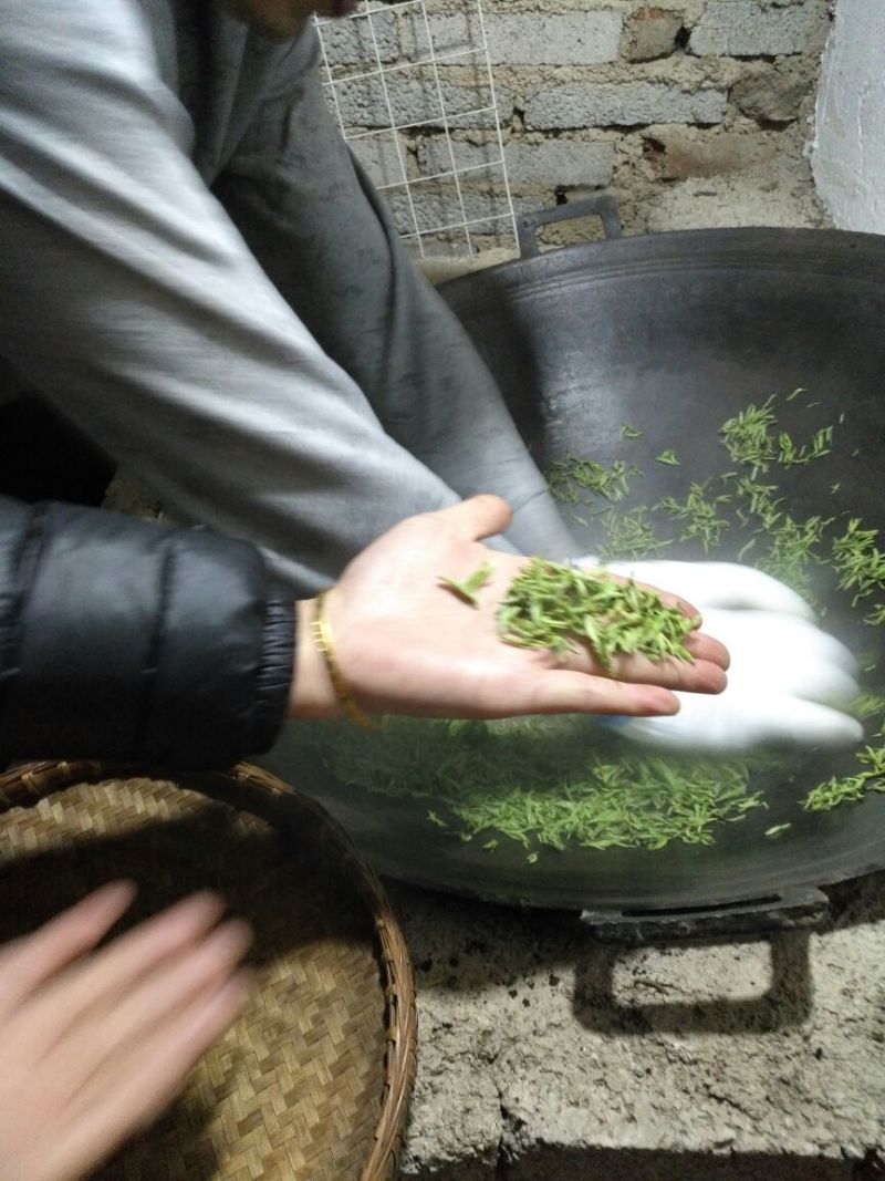 老树茶特级