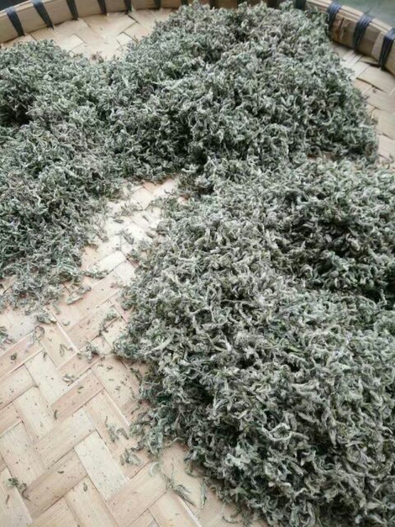 老树茶特级