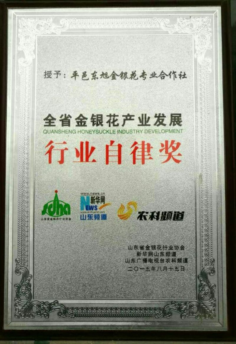 金银花红色金银花苗，当年开花，稀有品种，观赏绿化