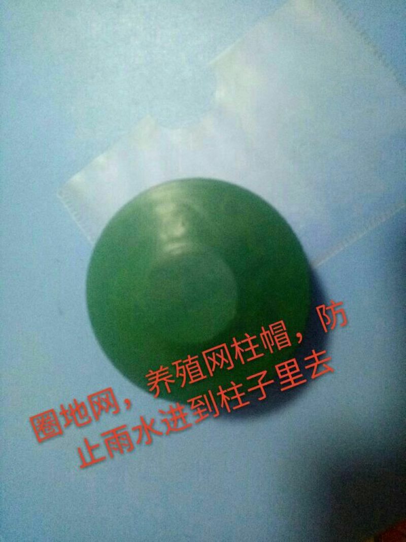 养殖网