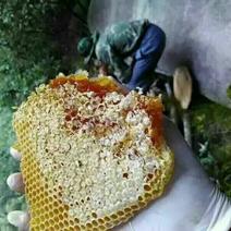 蜂蜜1斤