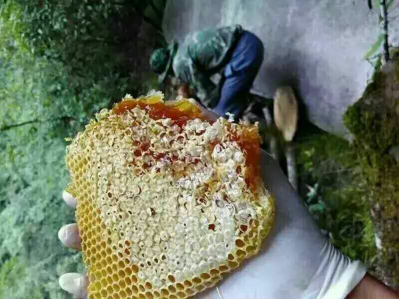 蜂蜜1斤