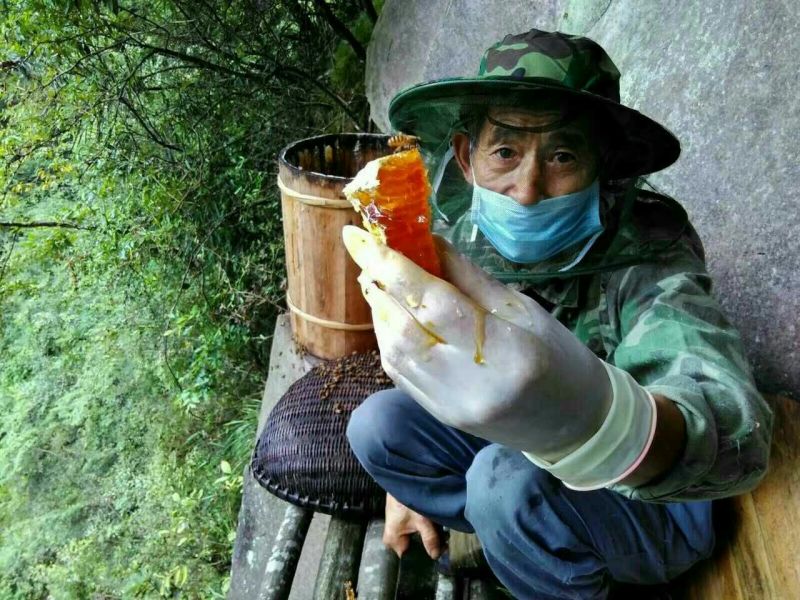 蜂蜜1斤