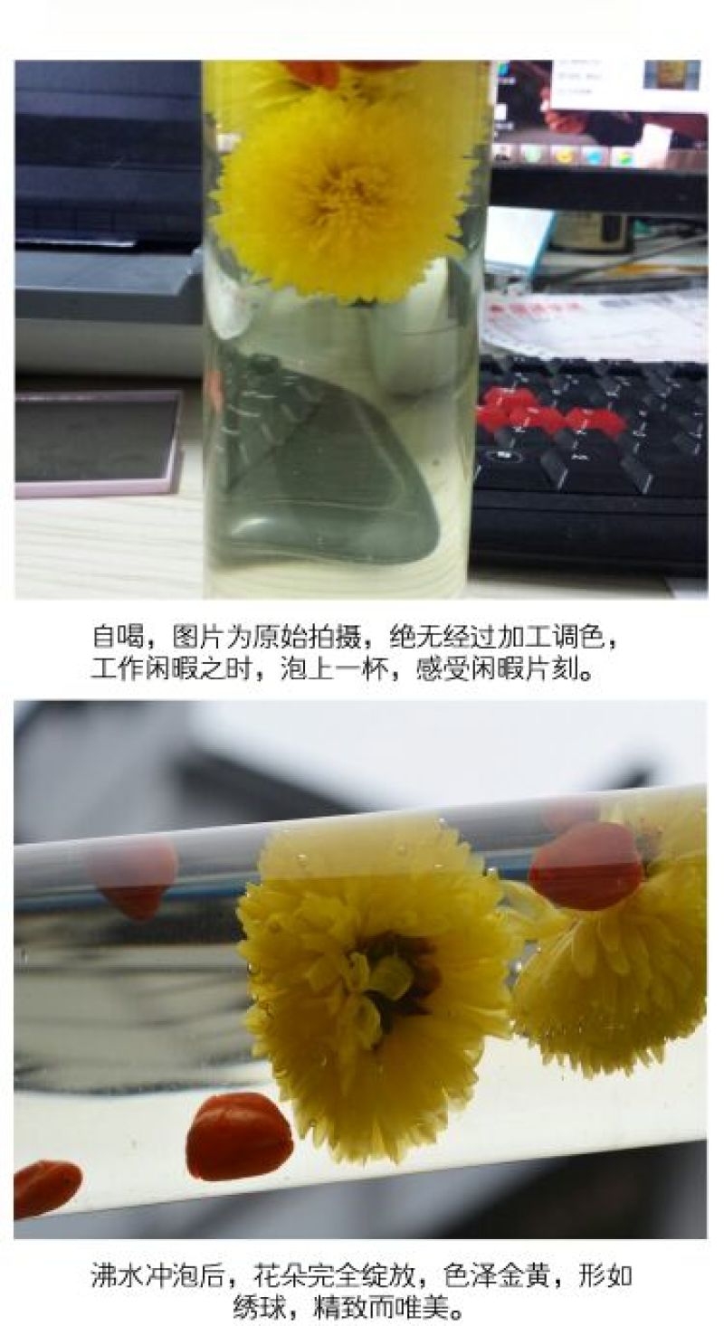 皇菊茶一级