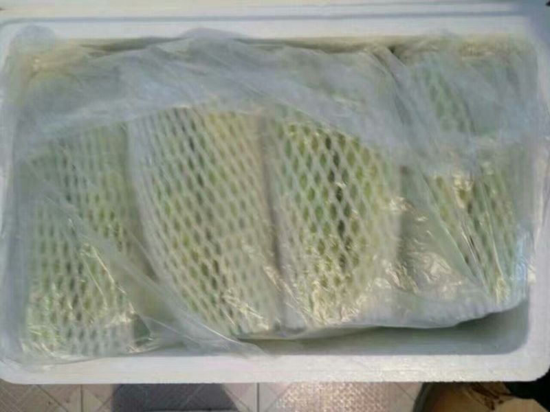 白黄瓜干花带刺18~22公分