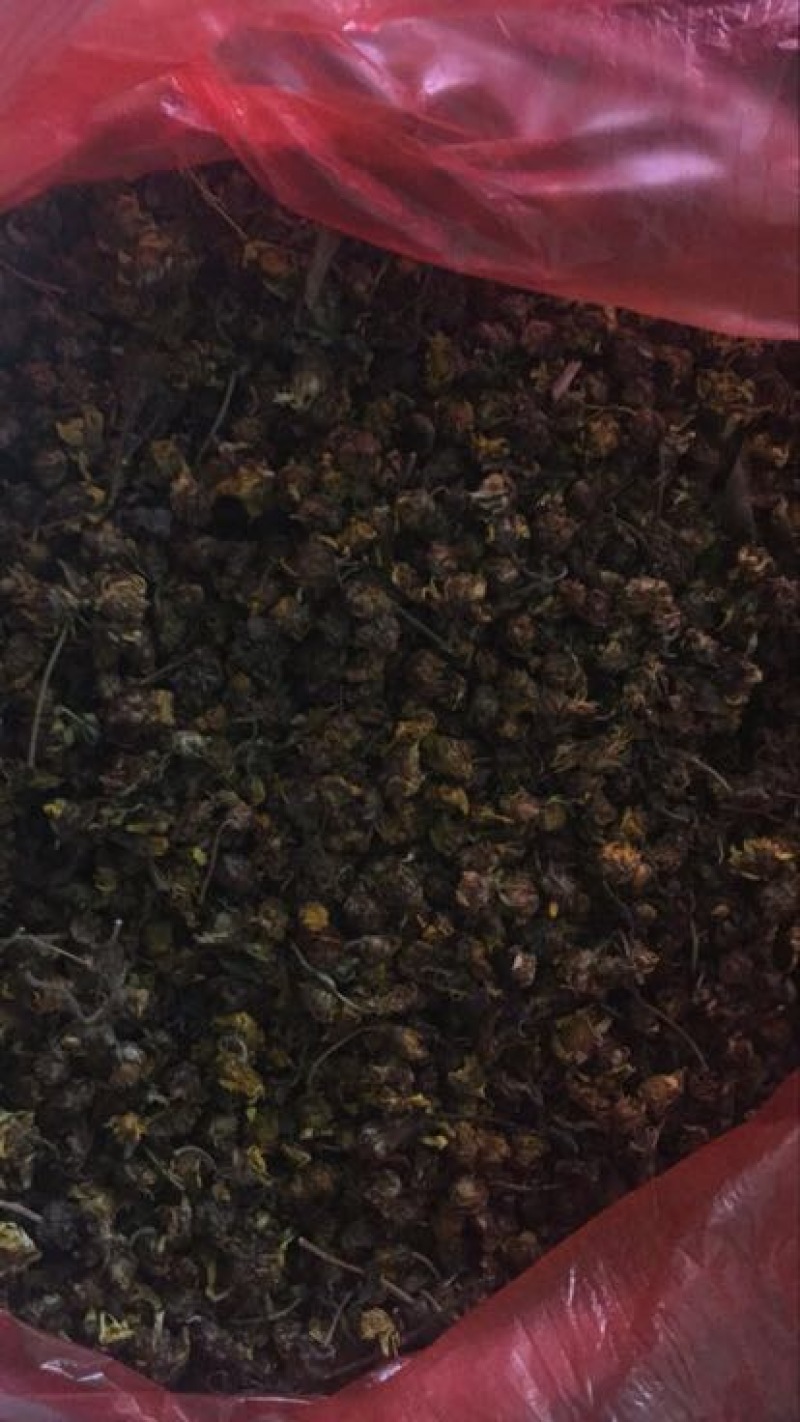 野菊花