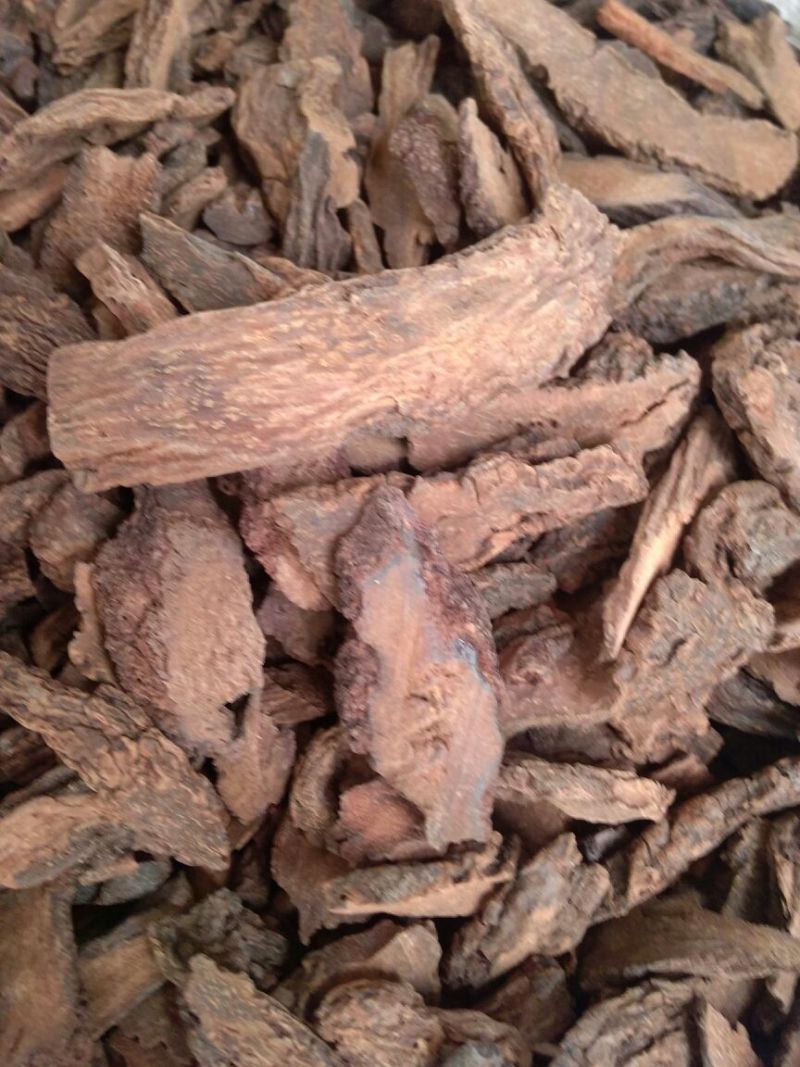 锁阳内蒙干货2斤起包邮量大从优
