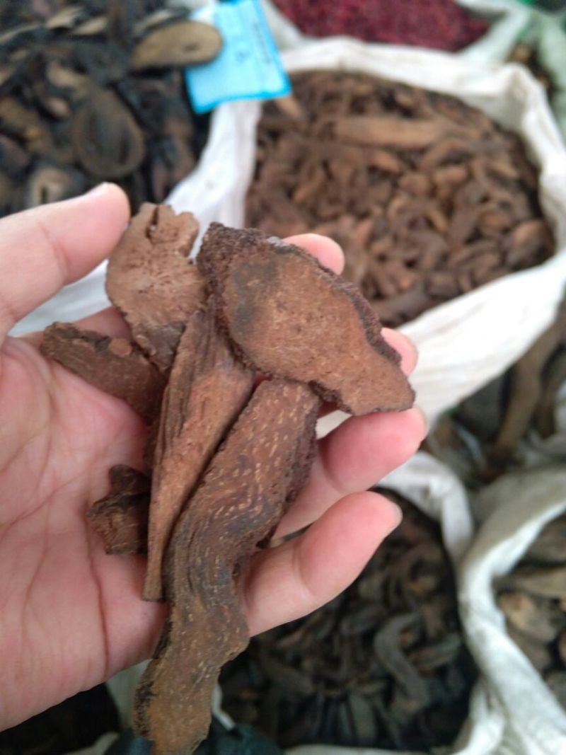 锁阳内蒙干货2斤起包邮量大从优