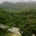 青梅青竹梅手工选摘陆河万亩梅园种植基地