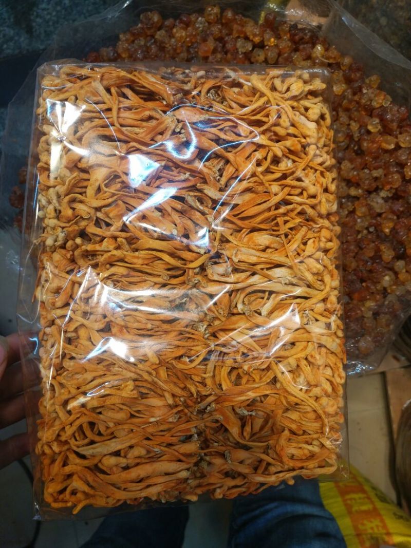 虫草花散装