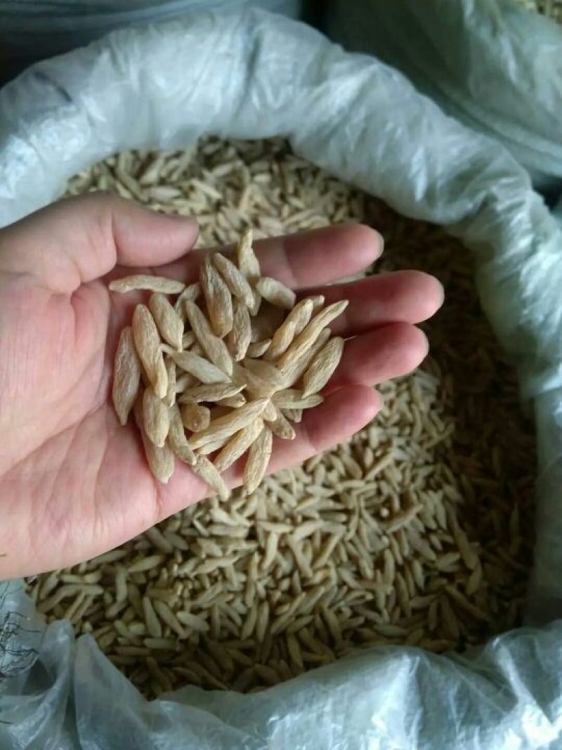 川麦冬无硫选货含量高2斤起包邮量大从优