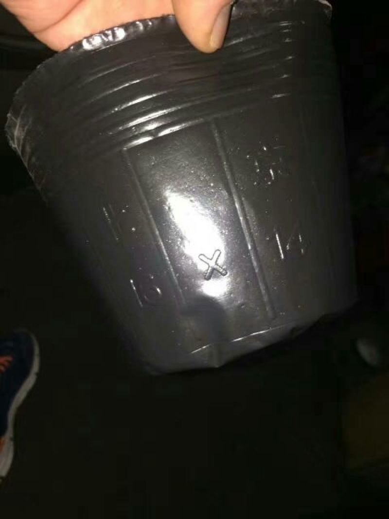 【河北营养杯厂家】育苗杯，花盆，营养盆，育苗袋