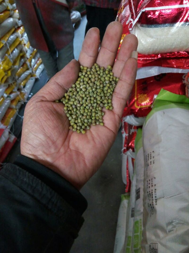 芽豆食用