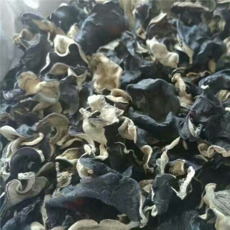 黑木耳一级
