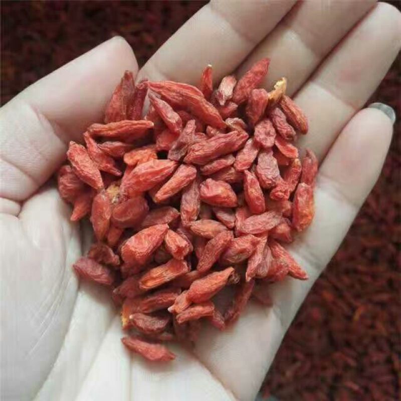 枸杞二茬干货