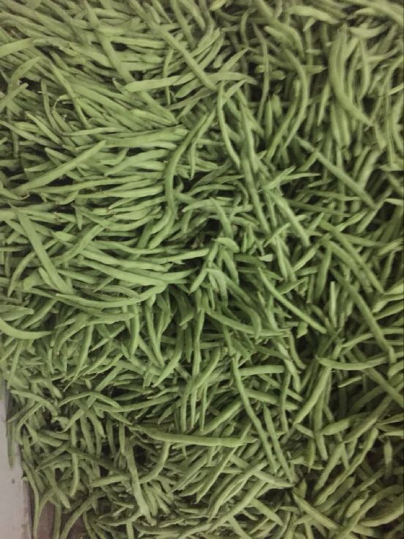 四季豆10~15cm豆子颜色好。货量大