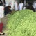 四季豆10~15cm豆子颜色好。货量大