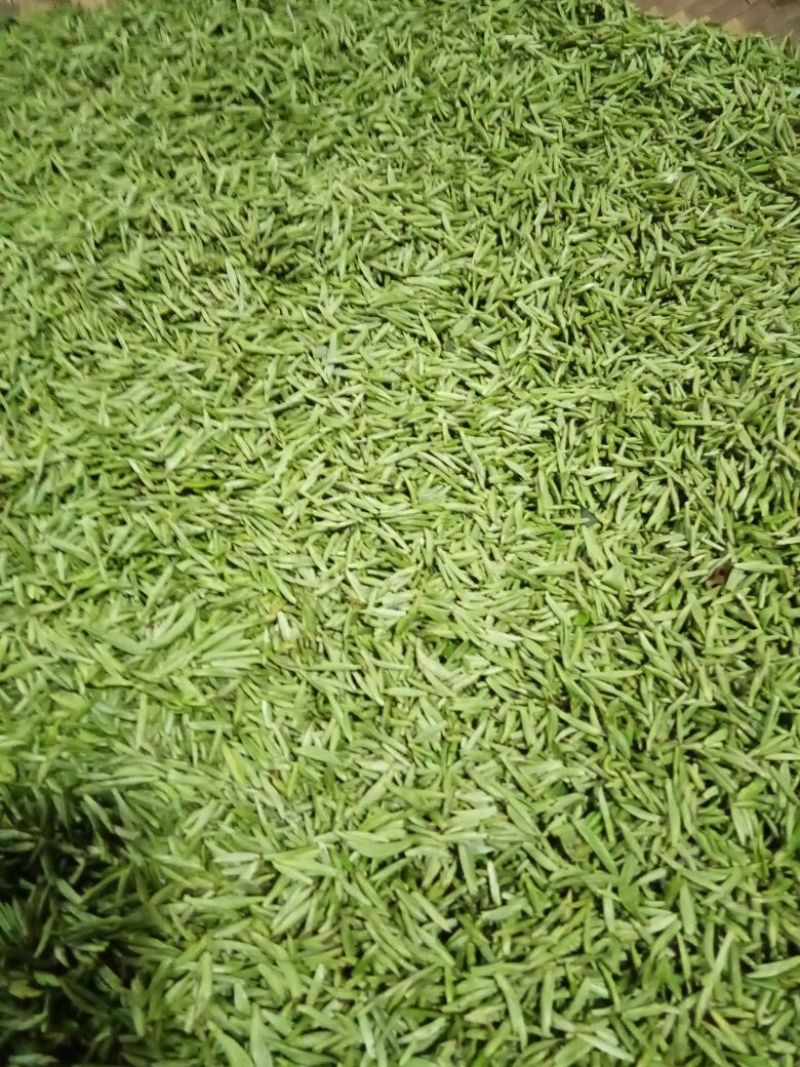 川茶特级