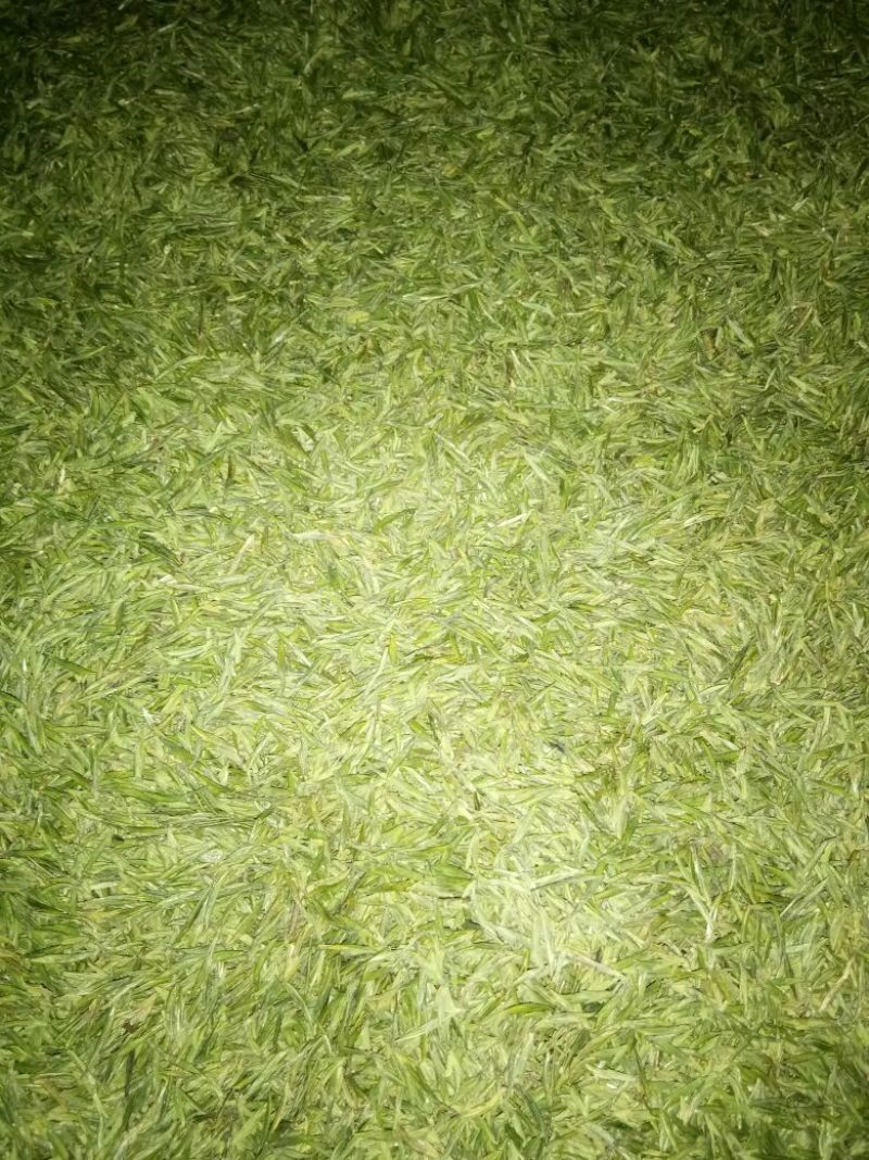 川茶特级