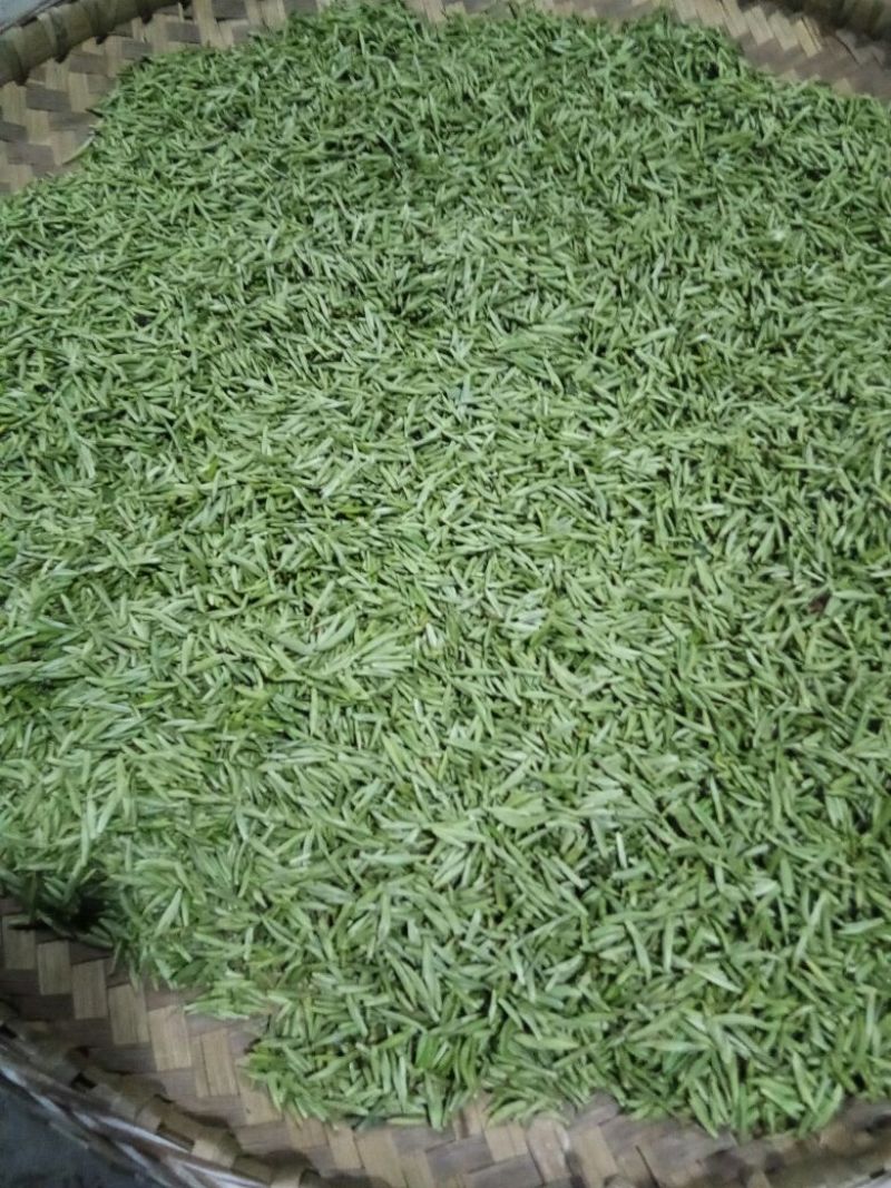 川茶特级