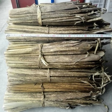 手工包粽子叶笋壳粽叶，班竹笋壳叶