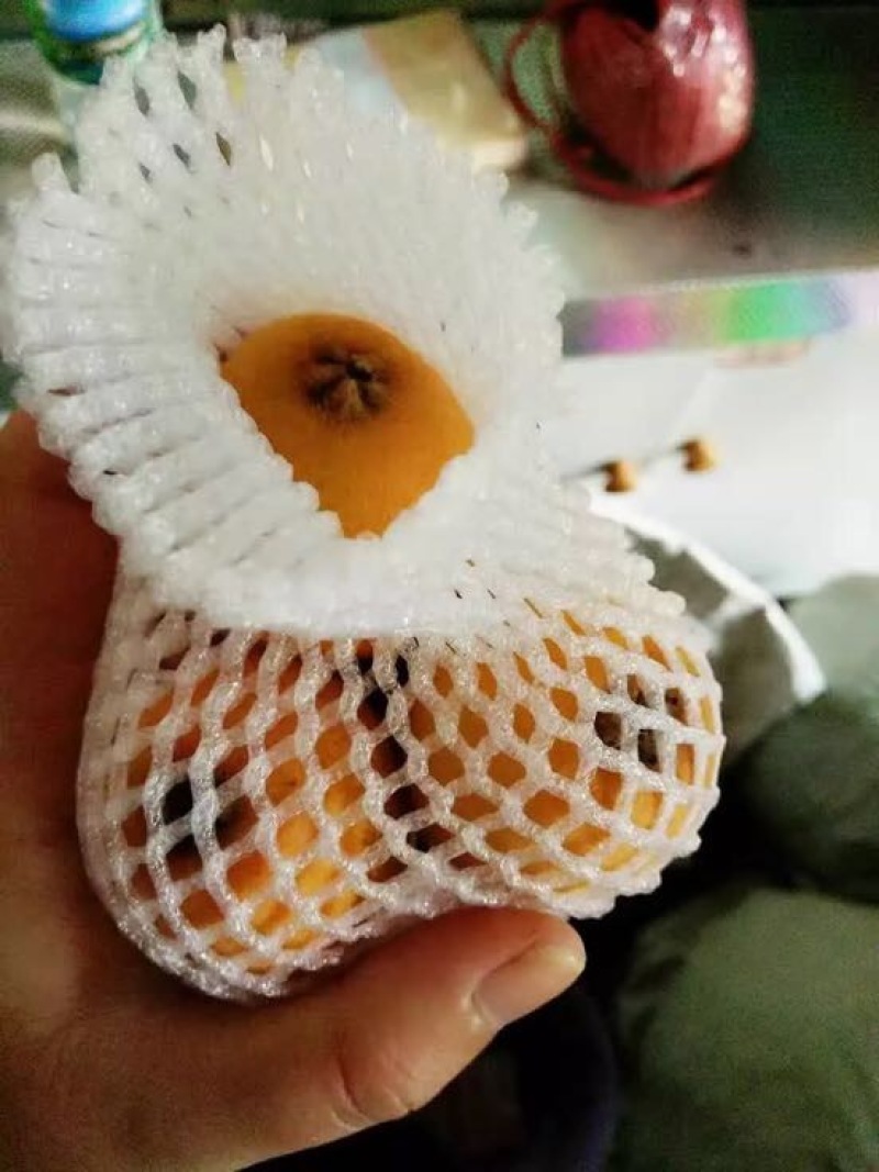 枇杷