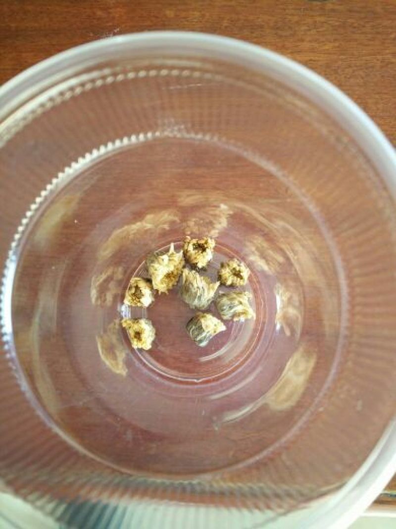 药用菊花袋装