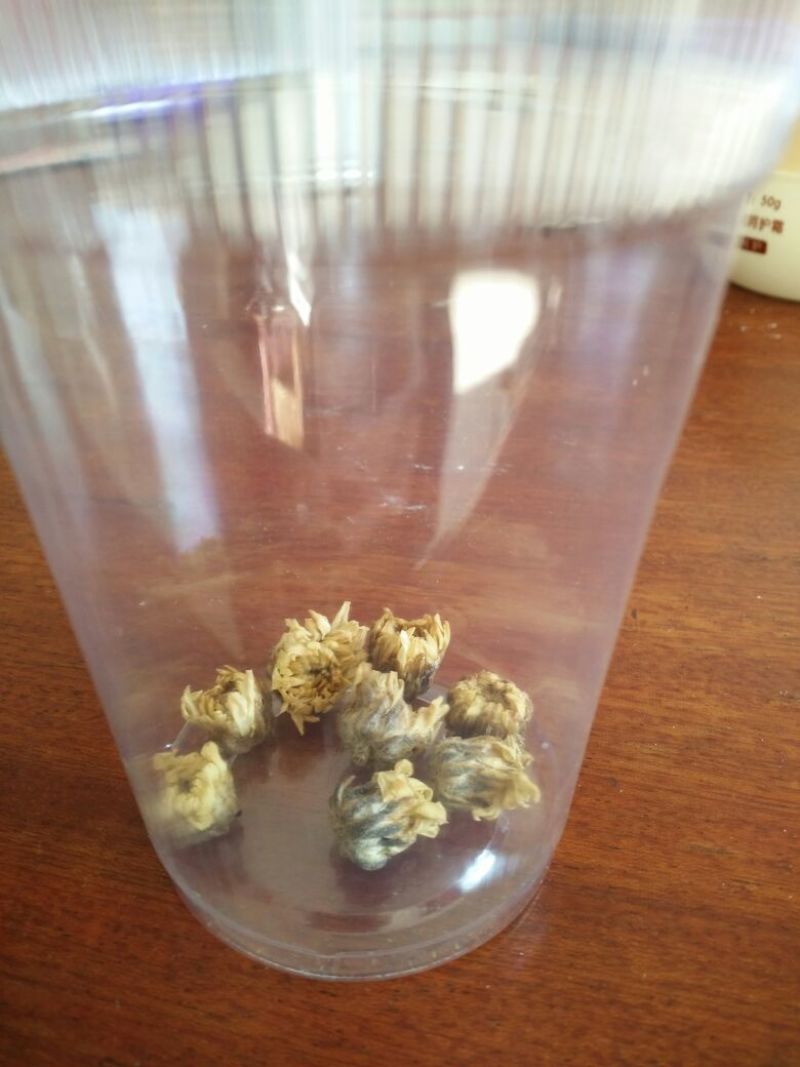药用菊花袋装