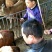 鲁西黄牛犊100~200kg