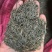 波斯菊种子混色绿化专用，花色多种，可绿化，护坡