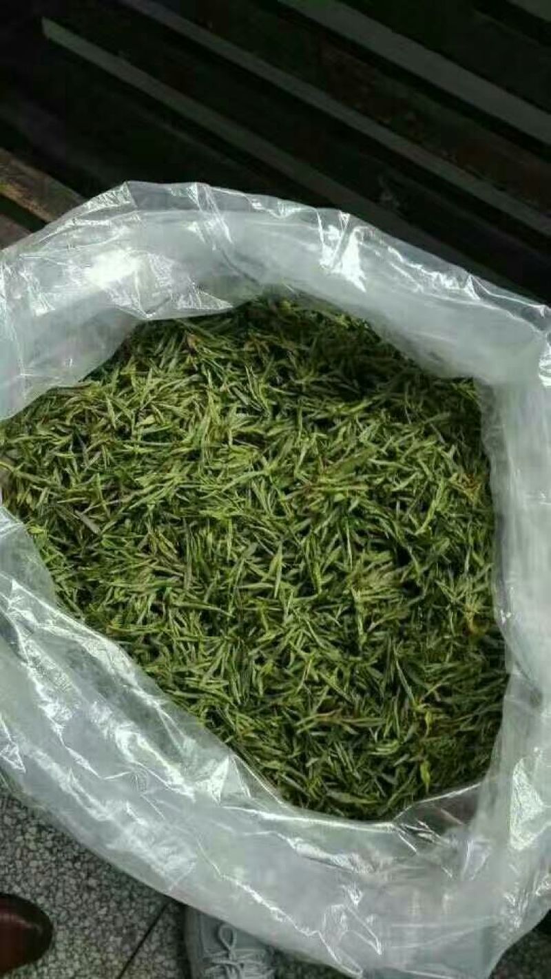 本山茶二级