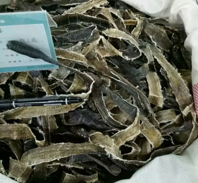 无硫地龙半开全开各种规格中药材新货