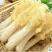 长裙竹荪一级