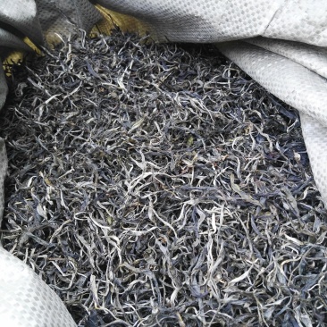 古树普洱茶一级