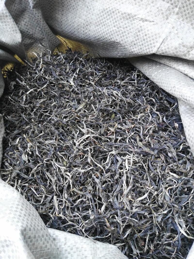 古树普洱茶一级