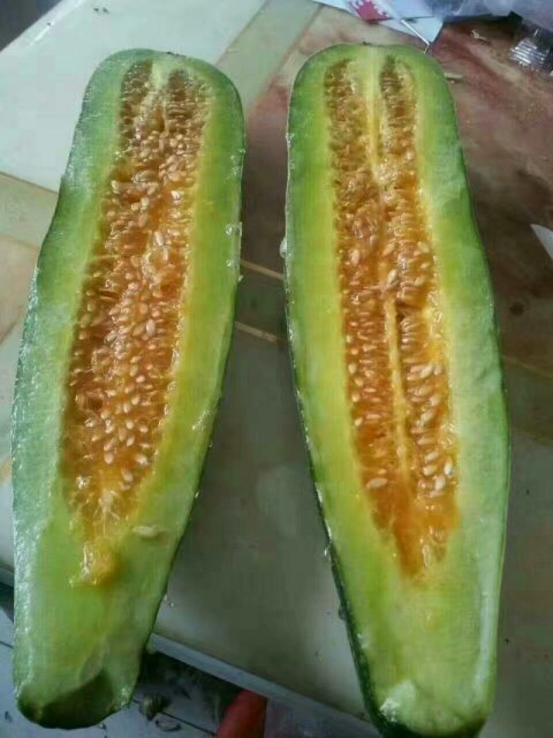 大量供应羊角蜜甜瓜1斤以上精品产地批发价格低欢迎咨询