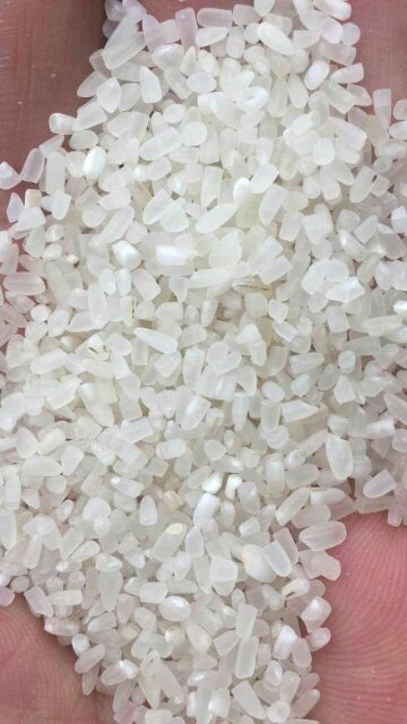 碎米大碎