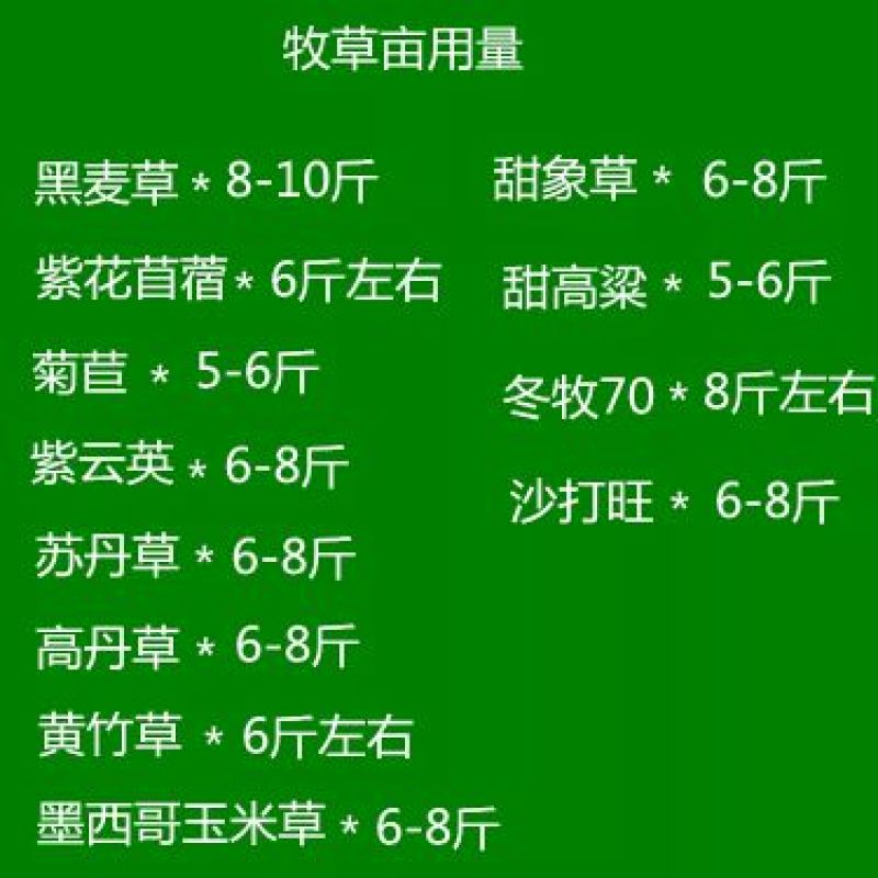 黑麦草种子90%以上