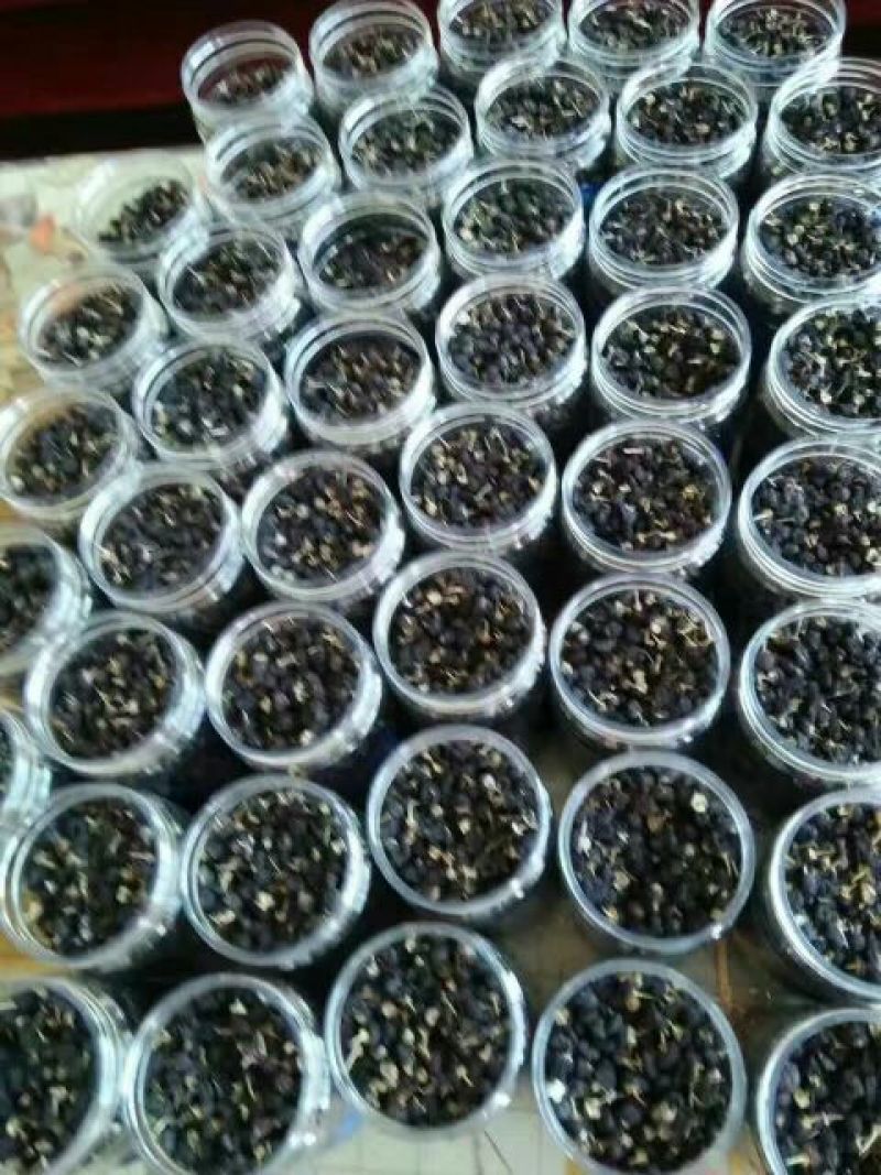 黑枸杞头茬干货包装货散货精品黑枸杞甘肃黑枸杞