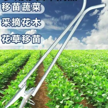 栽苗器不含漏斗带插口