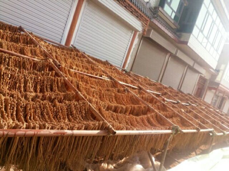 白条党参干货大条