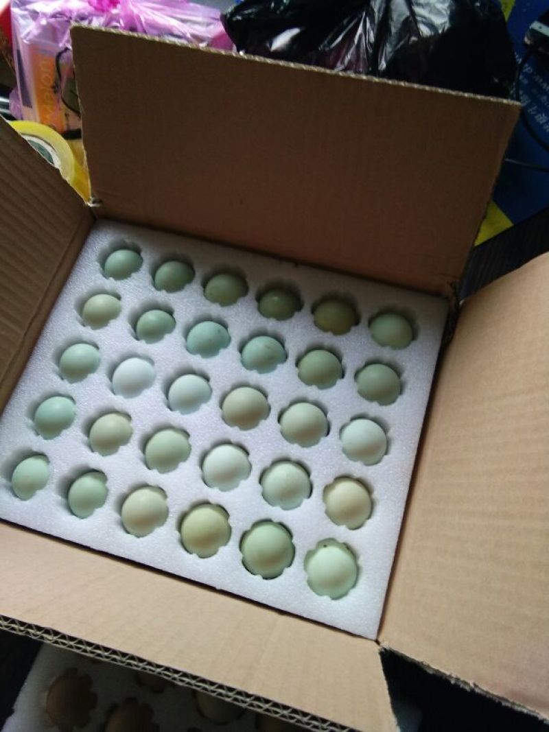 纯散养土鸡蛋粉蛋绿壳蛋