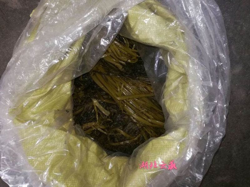 【腌芥菜】雪里红雪菜泡酱腌菜第三方检测合格