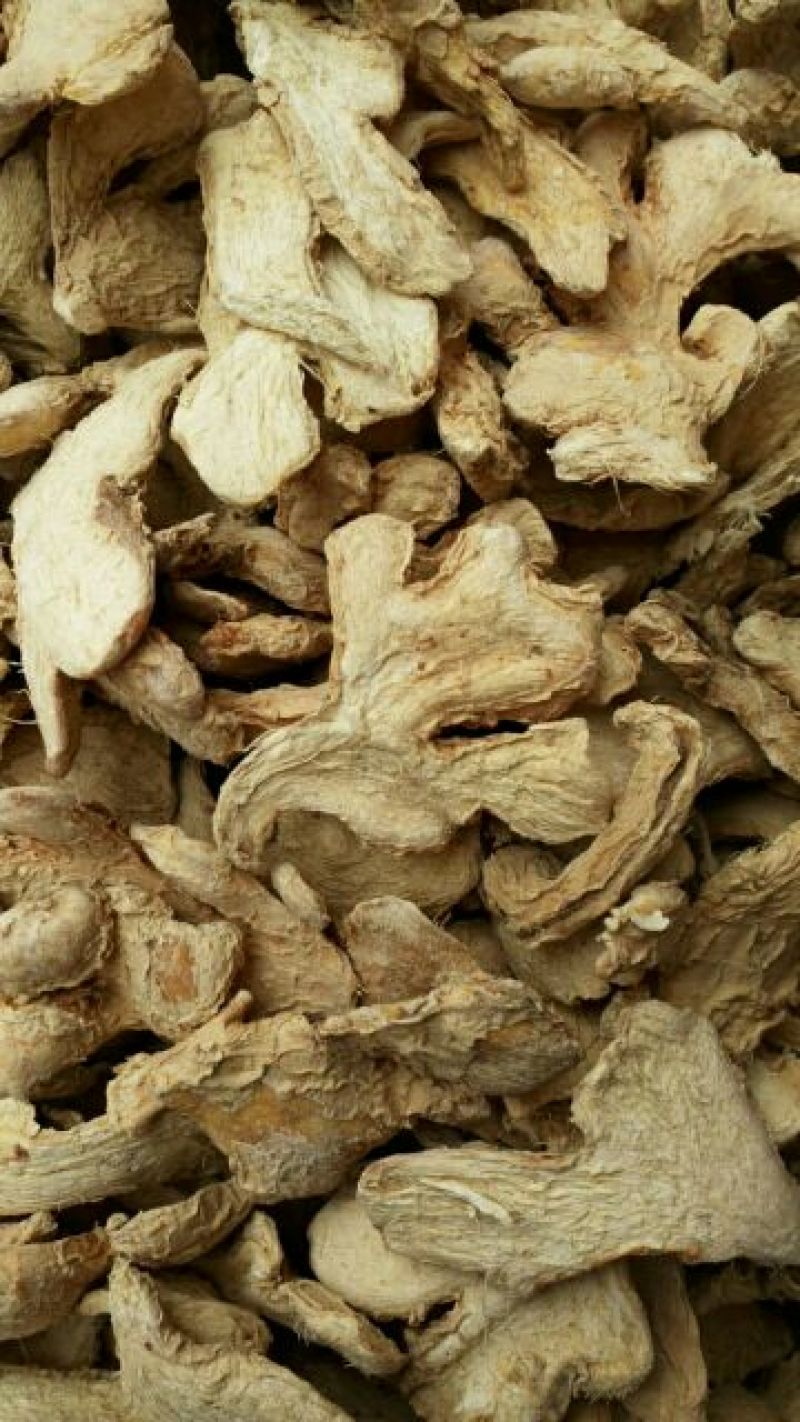 干姜中药材干姜干姜片