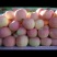 红富士苹果80mm以上纸袋