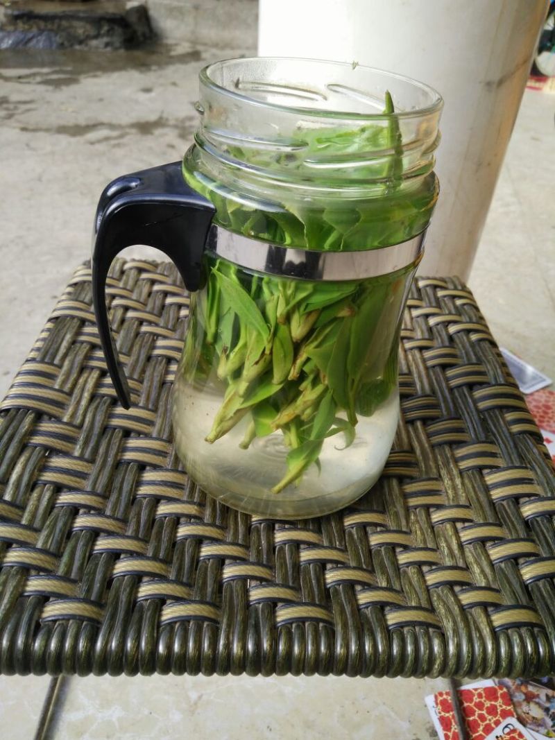 百年大树茶一级