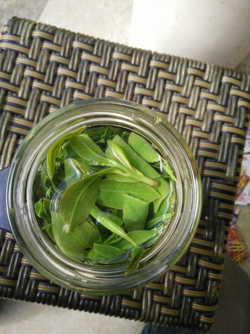 百年大树茶一级