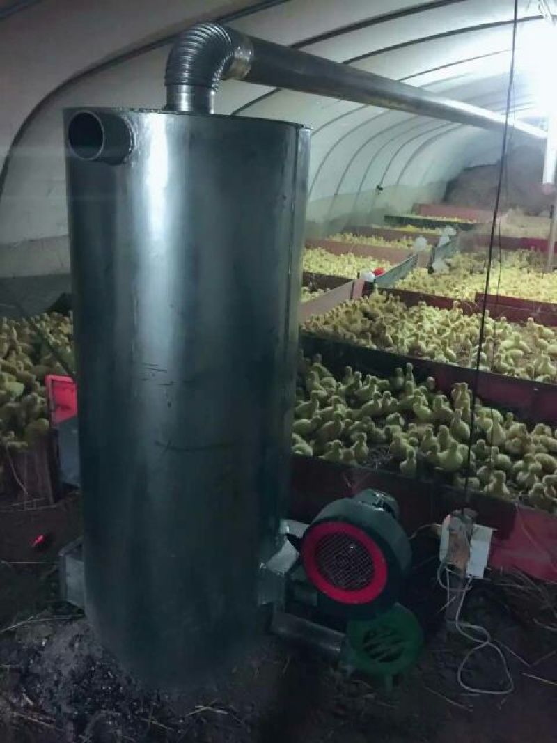 三花鹅苗250g以下